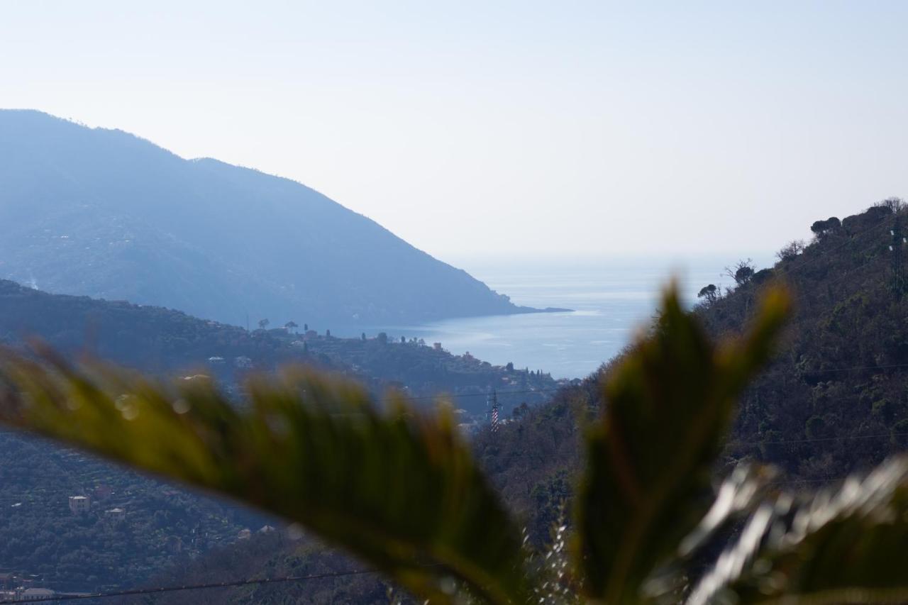 Villa Le Macine Molino Nuovo  Bagian luar foto